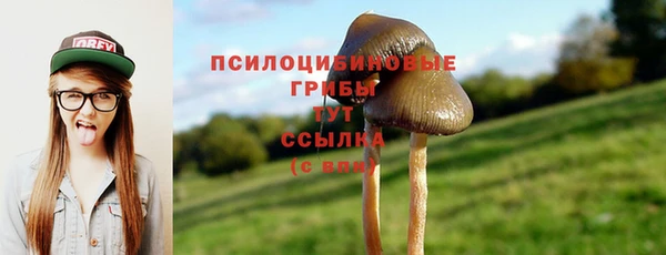 стаф Навашино
