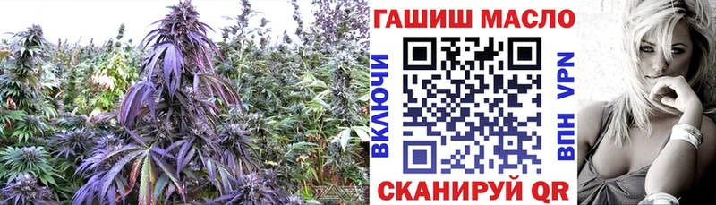 Дистиллят ТГК Wax  Купить закладки  Пестово 